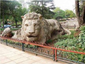 Lion Ifrane