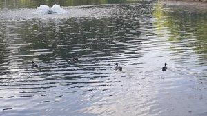 Danau Ifrane